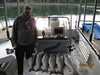 (06/20/2018) - Nice Striped Bass